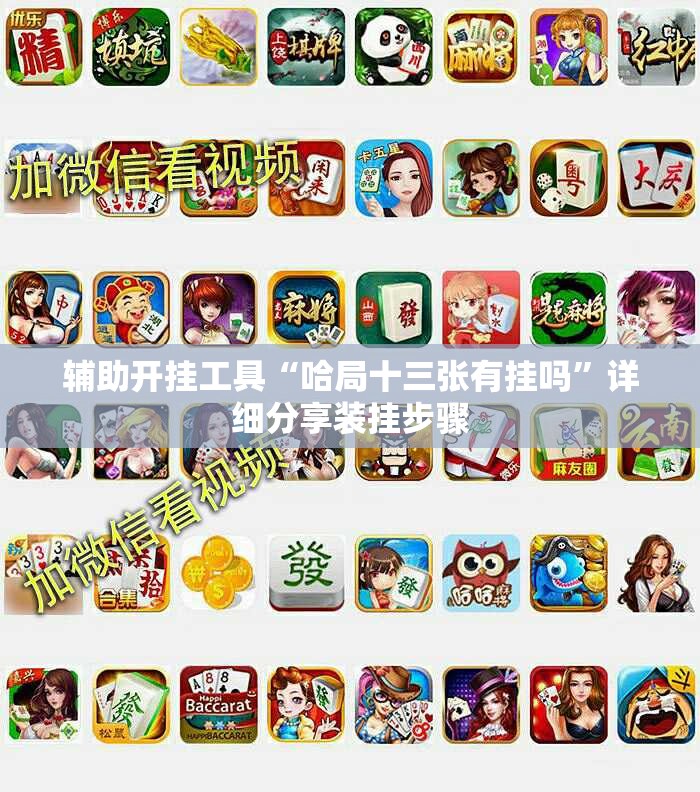 辅助开挂工具“哈局十三张有挂吗”详细分享装挂步骤