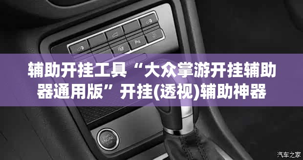 辅助开挂工具“大众掌游开挂辅助器通用版	”开挂(透视)辅助神器