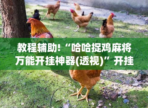 教程辅助!“哈哈捉鸡麻将万能开挂神器(透视)”开挂辅助脚本+详细开挂安装教程