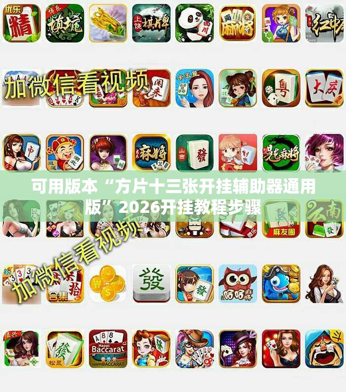 可用版本“方片十三张开挂辅助器通用版”2026开挂教程步骤