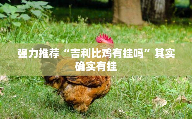 强力推荐“吉利比鸡有挂吗”其实确实有挂