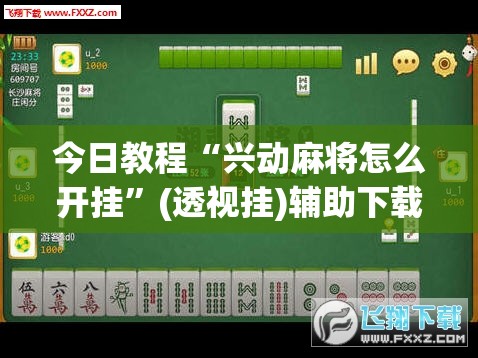 今日教程“兴动麻将怎么开挂	”(透视挂)辅助下载教程