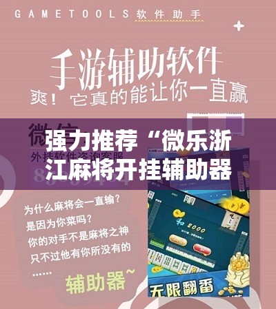 强力推荐“微乐浙江麻将开挂辅助器通用版”2026开挂教程步骤