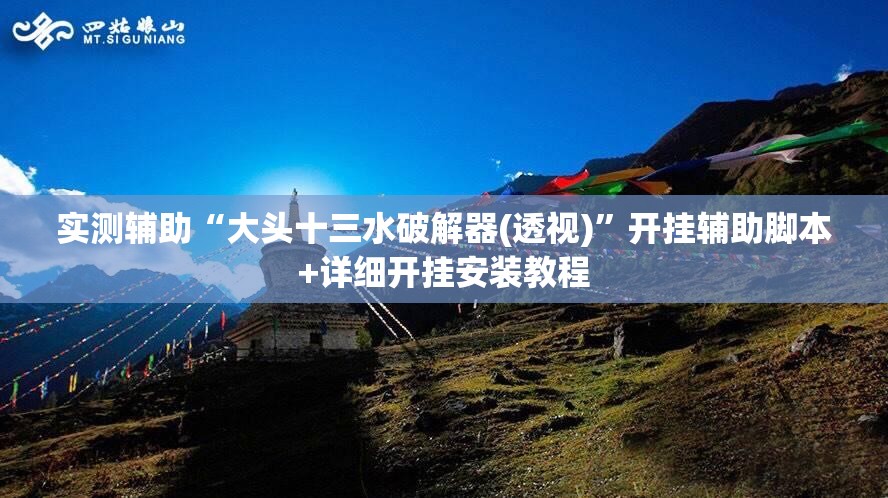 实测辅助“大头十三水破解器(透视)	”开挂辅助脚本+详细开挂安装教程