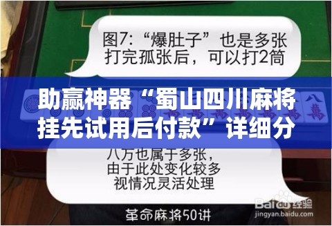 助赢神器“蜀山四川麻将挂先试用后付款”详细分享装挂步骤
