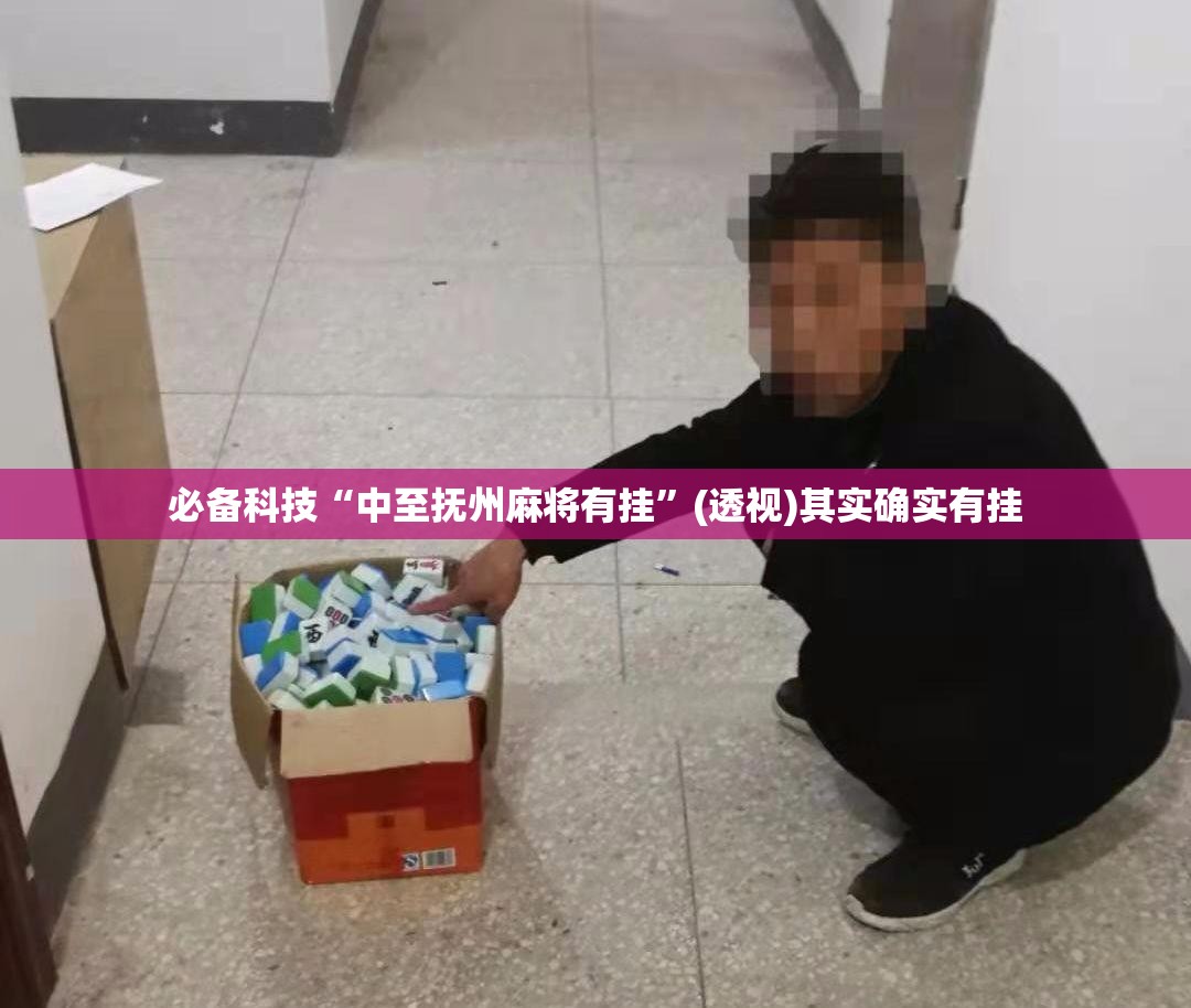 必备科技“中至抚州麻将有挂”(透视)其实确实有挂