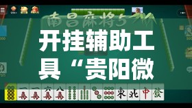 开挂辅助工具“贵阳微乐捉鸡麻将外卦辅助软件下载”详细外挂透视辅助软件教程