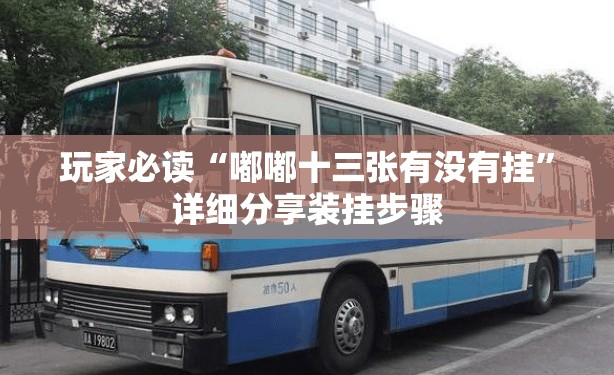玩家必读“嘟嘟十三张有没有挂”详细分享装挂步骤