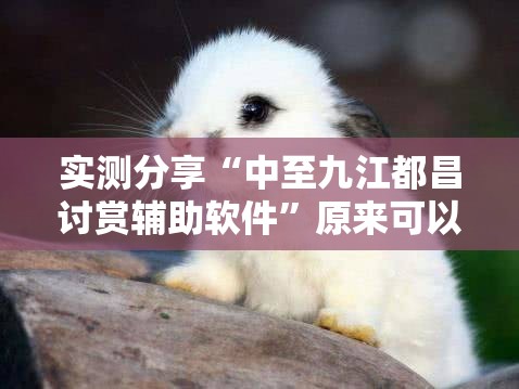 实测分享“中至九江都昌讨赏辅助软件	”原来可以开挂