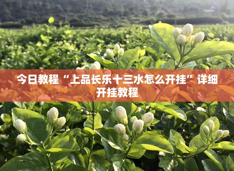 今日教程“上品长乐十三水怎么开挂	”详细开挂教程