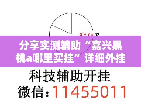 分享实测辅助“嘉兴黑桃a哪里买挂”详细外挂透视辅助软件教程