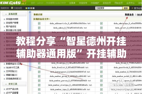 教程分享“智星德州开挂辅助器通用版”开挂辅助脚本+详细开挂安装教程