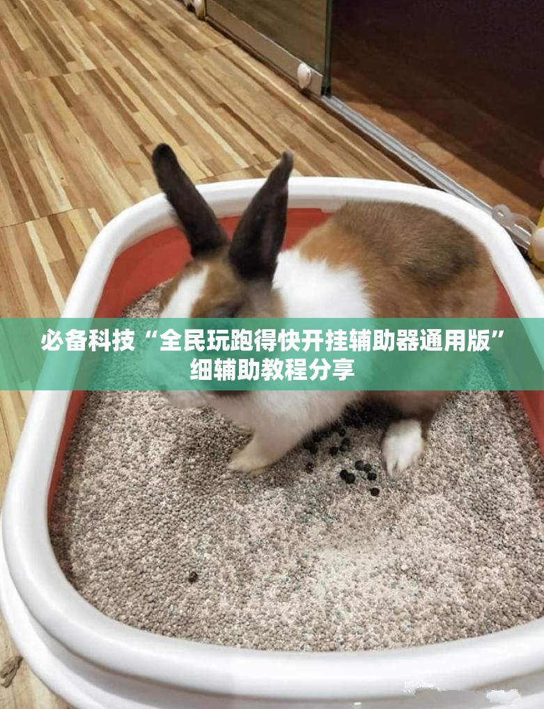 必备科技“全民玩跑得快开挂辅助器通用版	”细辅助教程分享
