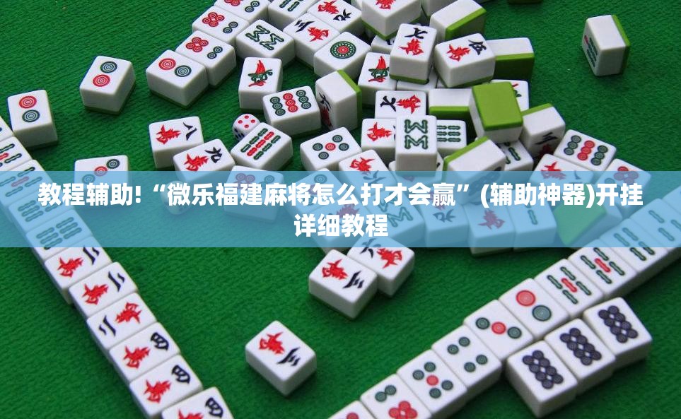 教程辅助!“微乐福建麻将怎么打才会赢”(辅助神器)开挂详细教程
