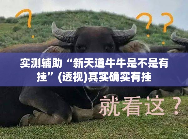 实测辅助“新天道牛牛是不是有挂”(透视)其实确实有挂