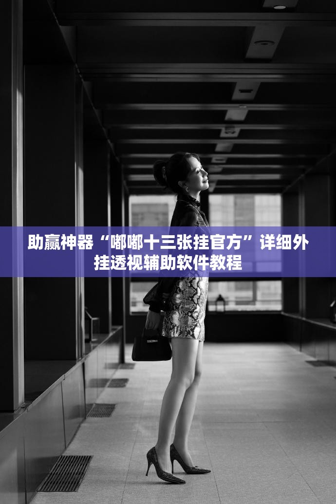 助赢神器“嘟嘟十三张挂官方	”详细外挂透视辅助软件教程