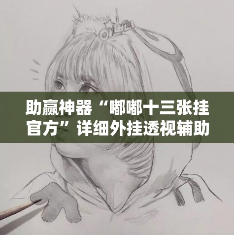 助赢神器“嘟嘟十三张挂官方”详细外挂透视辅助软件教程