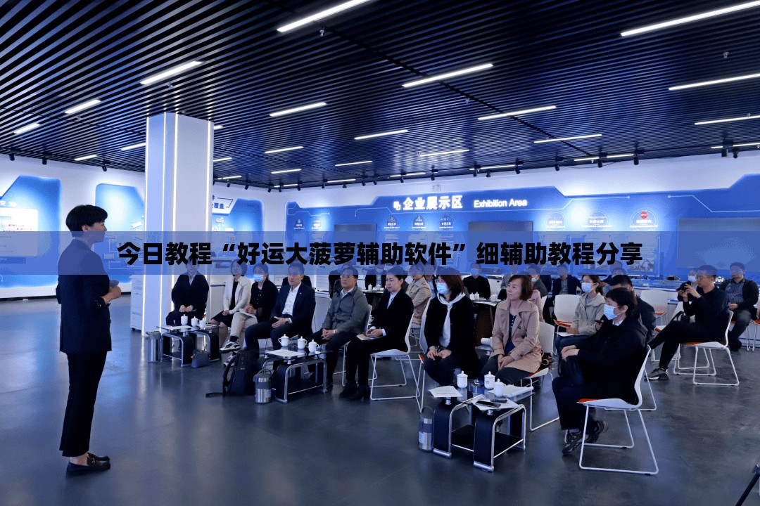 今日教程“好运大菠萝辅助软件”细辅助教程分享