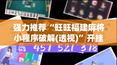 强力推荐“旺旺福建麻将小程序破解(透视)”开挂辅助脚本+详细开挂安装教程