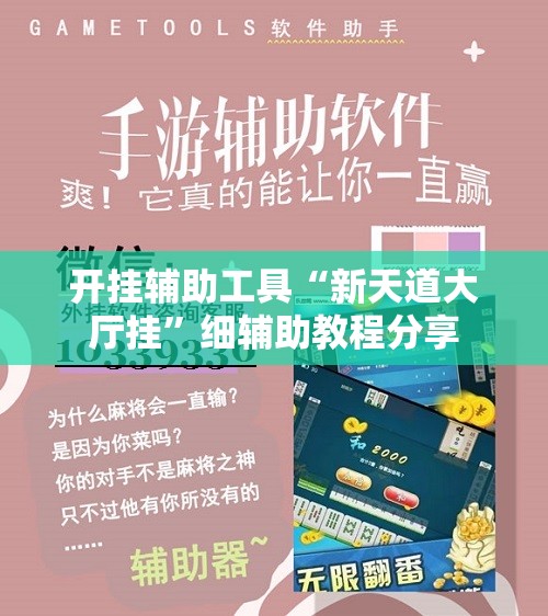 开挂辅助工具“新天道大厅挂	”细辅助教程分享