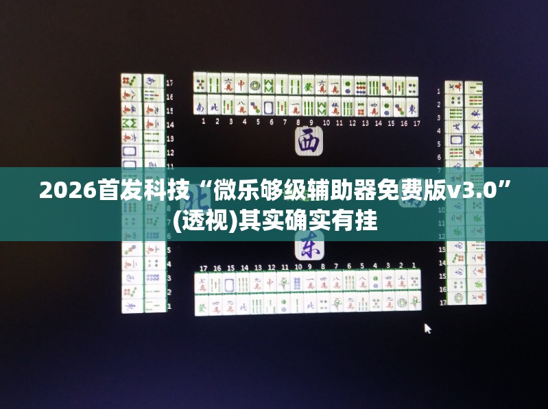 2026首发科技“微乐够级辅助器免费版v3.0”(透视)其实确实有挂