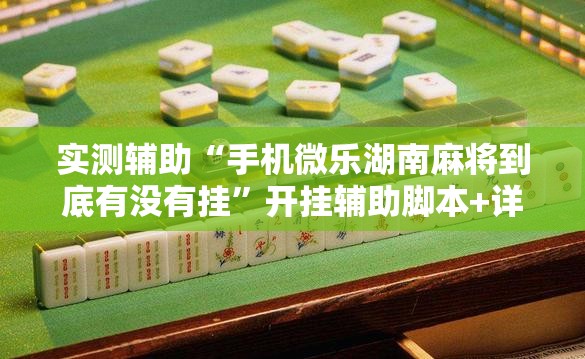 实测辅助“手机微乐湖南麻将到底有没有挂	”开挂辅助脚本+详细开挂安装教程