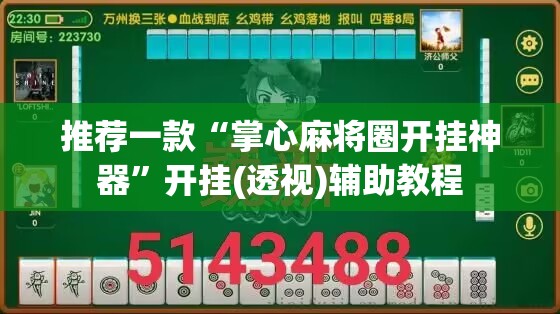 推荐一款“掌心麻将圈开挂神器”开挂(透视)辅助教程