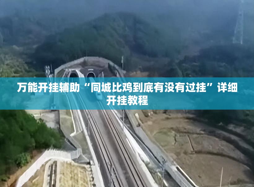 万能开挂辅助“同城比鸡到底有没有过挂”详细开挂教程