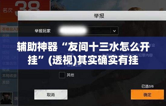 辅助神器“友间十三水怎么开挂”(透视)其实确实有挂
