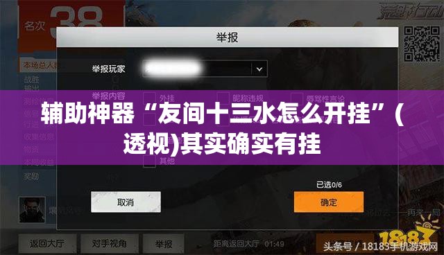 辅助神器“友间十三水怎么开挂”(透视)其实确实有挂