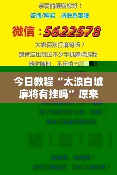 今日教程“太浪白城麻将有挂吗”原来可以开挂