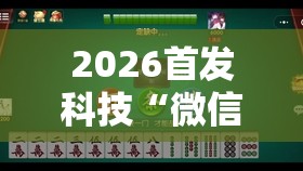 2026首发科技“微信小程序微乐保皇开挂辅助器通用版	”开挂辅助脚本+详细开挂安装教程