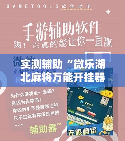 实测辅助“微乐湖北麻将万能开挂器通用版”其实确实有挂