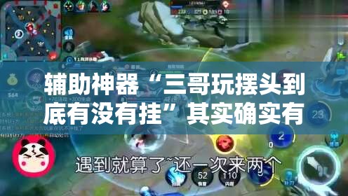 辅助神器“三哥玩摆头到底有没有挂”其实确实有挂