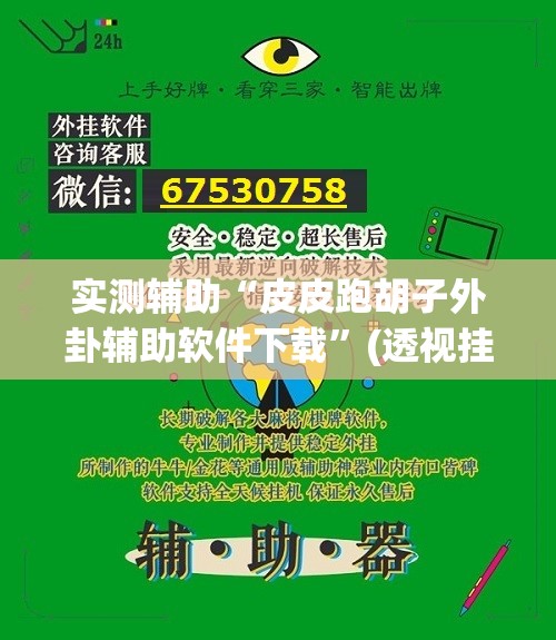 实测辅助“皮皮跑胡子外卦辅助软件下载”(透视挂)辅助下载教程