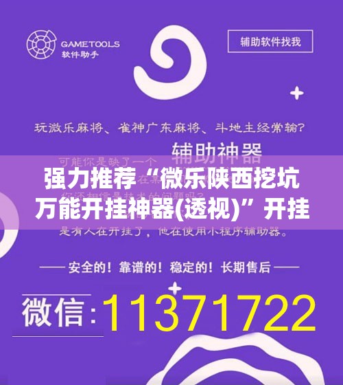 强力推荐“微乐陕西挖坑万能开挂神器(透视)	”开挂辅助脚本+详细开挂安装教程