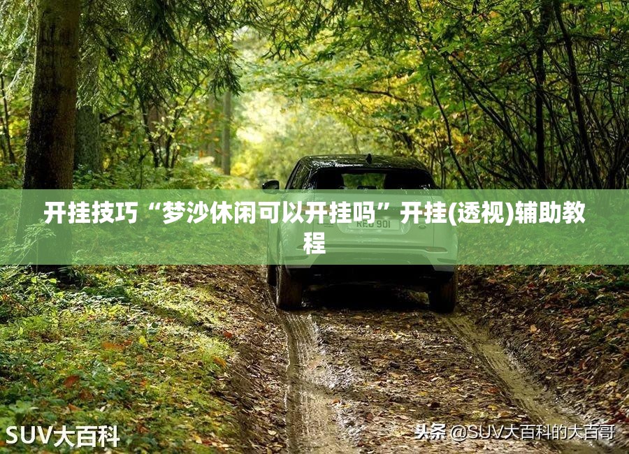 开挂技巧“梦沙休闲可以开挂吗	”开挂(透视)辅助教程