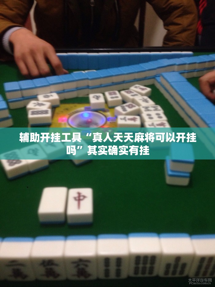 辅助开挂工具“真人天天麻将可以开挂吗”其实确实有挂
