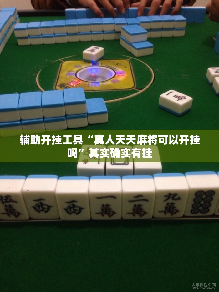 辅助开挂工具“真人天天麻将可以开挂吗”其实确实有挂