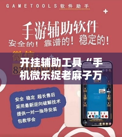 开挂辅助工具“手机微乐捉老麻子万能开挂神器”详细分享装挂步骤
