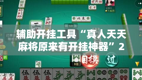 辅助开挂工具“真人天天麻将原来有开挂神器”2026开挂教程步骤