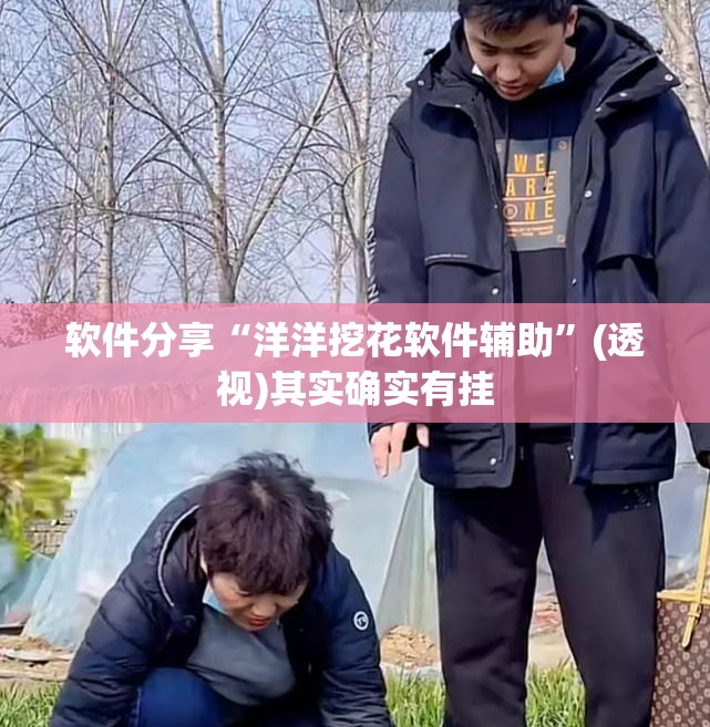 软件分享“洋洋挖花软件辅助	”(透视)其实确实有挂