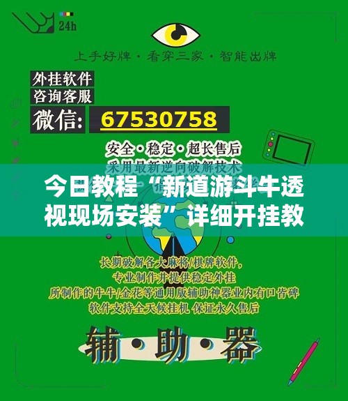 今日教程“新道游斗牛透视现场安装”详细开挂教程