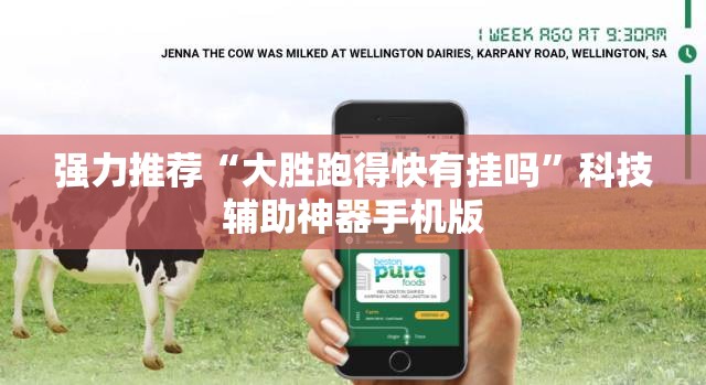 强力推荐“大胜跑得快有挂吗”科技辅助神器手机版