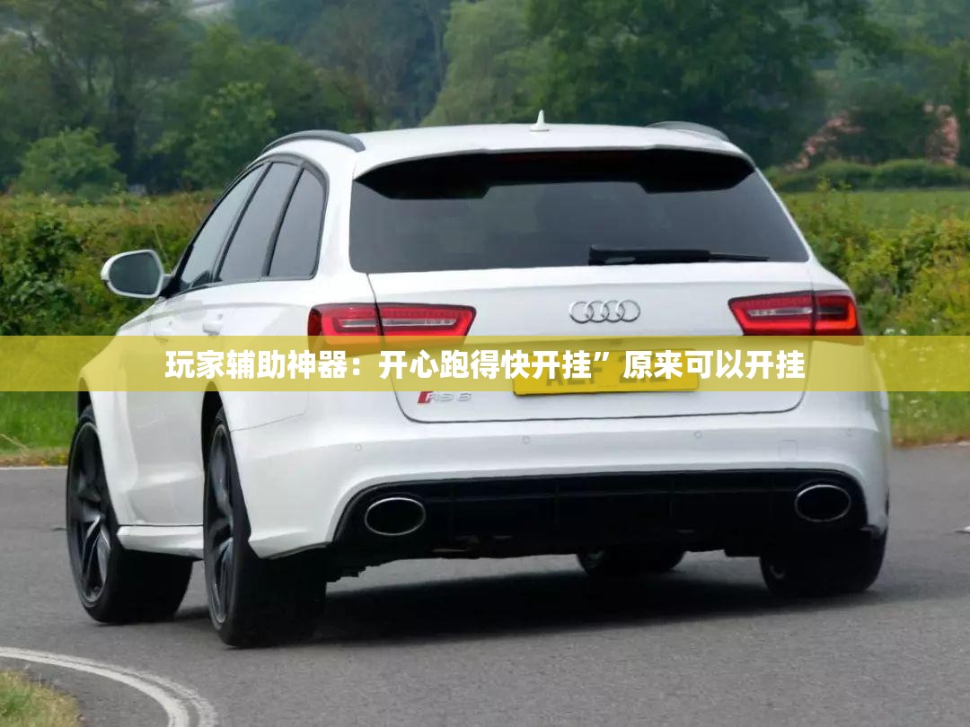 玩家辅助神器：开心跑得快开挂	”原来可以开挂