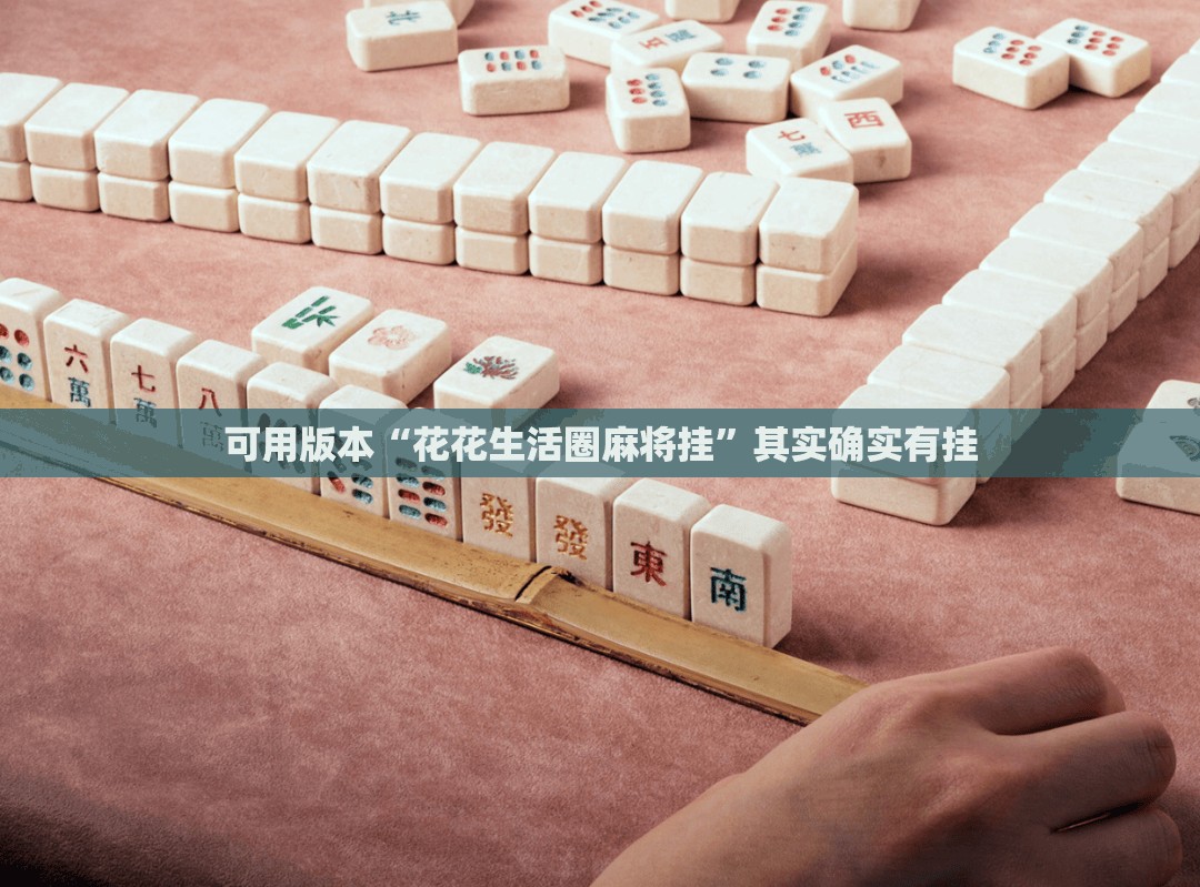 可用版本“花花生活圈麻将挂”其实确实有挂