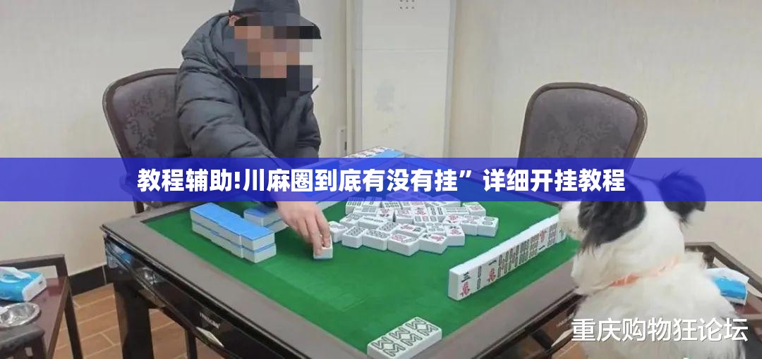 教程辅助!川麻圈到底有没有挂	”详细开挂教程