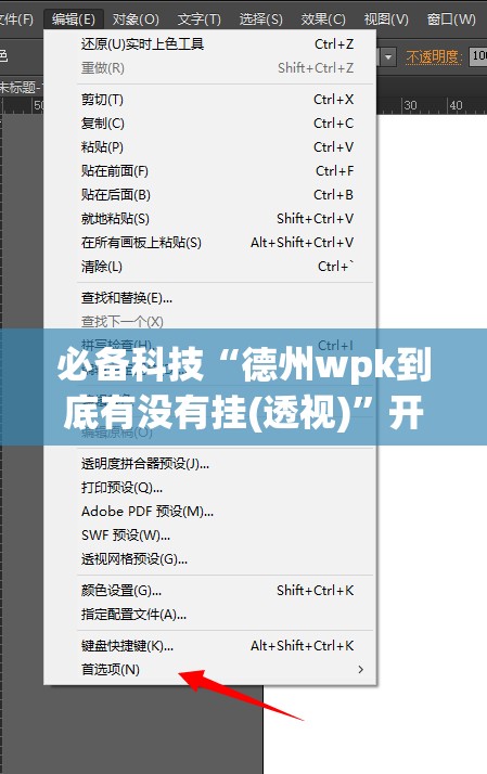 必备科技“德州wpk到底有没有挂(透视)”开挂辅助脚本+详细开挂安装教程