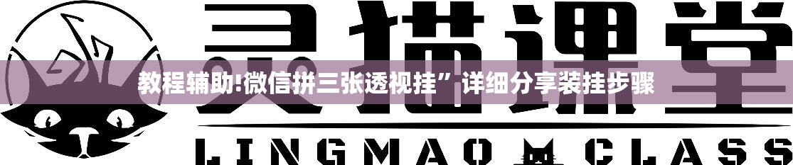 教程辅助!微信拼三张透视挂”详细分享装挂步骤