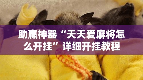 助赢神器“天天爱麻将怎么开挂	”详细开挂教程